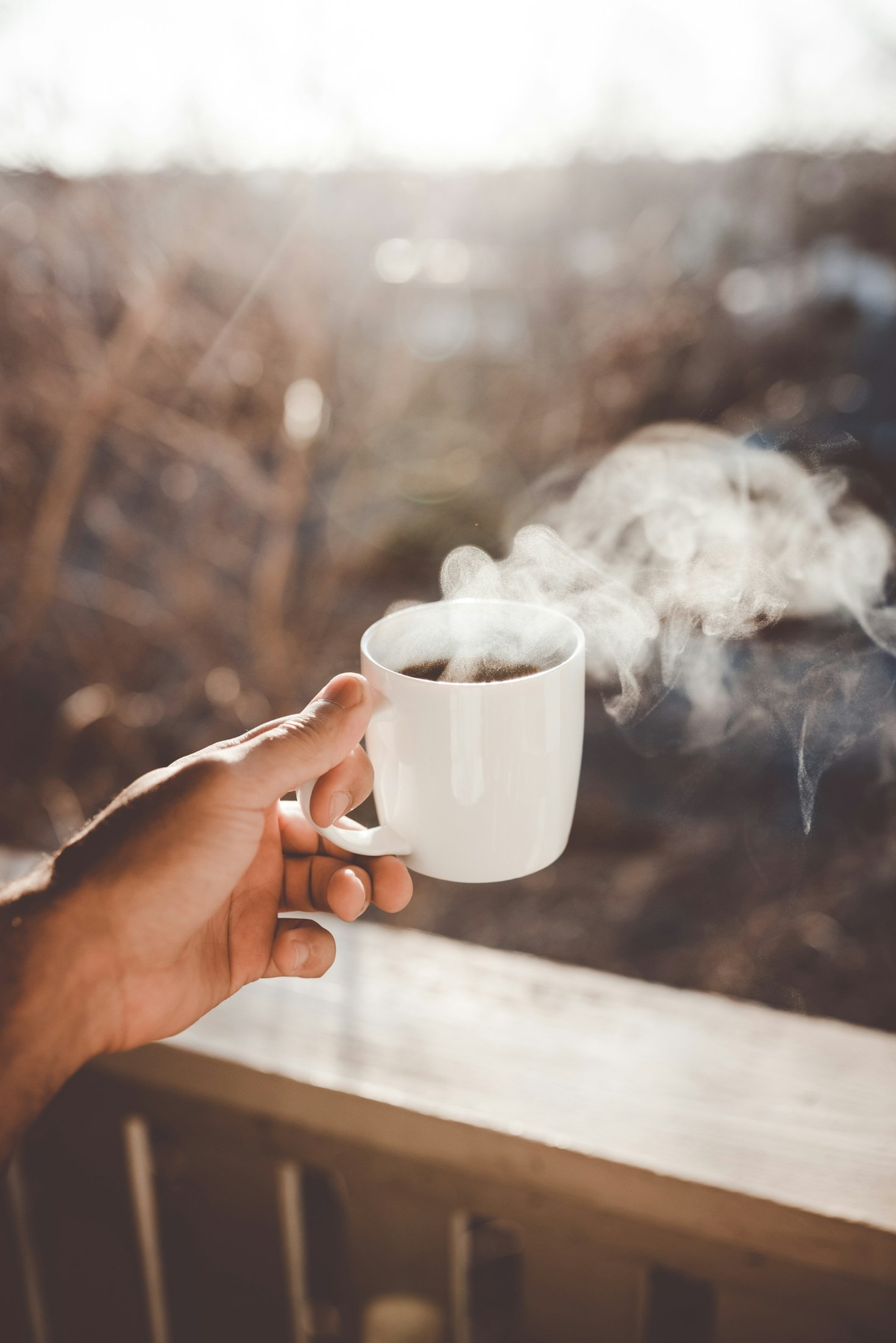 5 Reasons to Visit N2 Cafe This Week