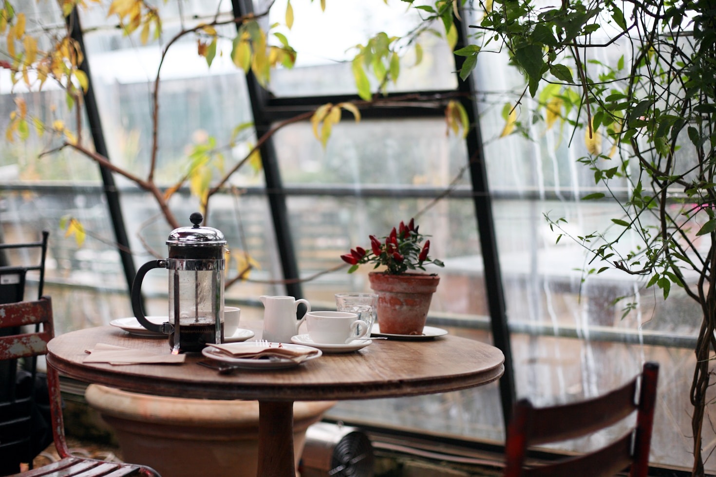 Sustainability Practices at N2 Cafe: A Closer Look